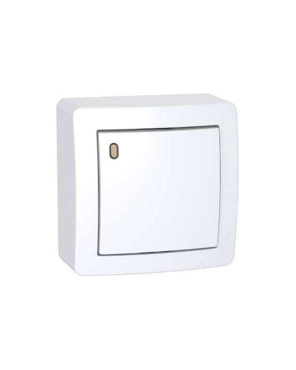 Alréa,Va-et-vient lumineux forte luminosité avec cadre saillie,blanc polaire SCHALB62057P  Prises et interrupteurs