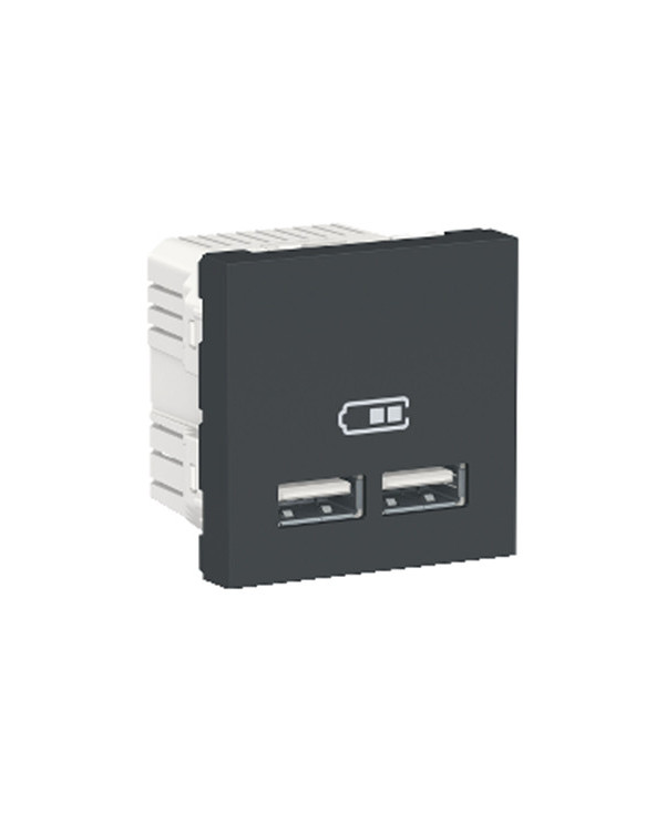 Unica - chargeur USB double - 5Vcc - 1A + 2,1A - 2 modules - Anthra - méca seul SCHNU341854  Mécanisme Unica