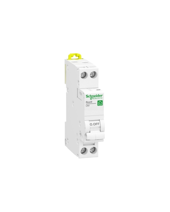 XP 6A 1PH+N courbe C peignable Disjoncteur à vis SCHR9PFC606 Schneider Electric Tableau électrique