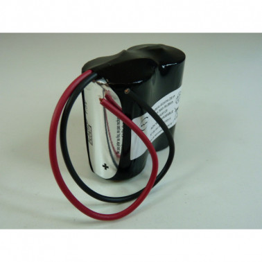 Batterie alcaline 2x D 2S1P ST1 3V 19760mAh F ENIMGA00123  Consommable