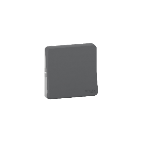 Mureva Styl - Va et vient - composable - IP55 - IK08 - connexion auto - gris SCHMUR37021  Interrupteur et prise étanche