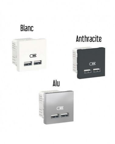 Unica - chargeur USB double - 5Vcc - 1A + 2,1A - 2 modules - Blanc - méca seul SCHNU341818  Mécanisme Unica